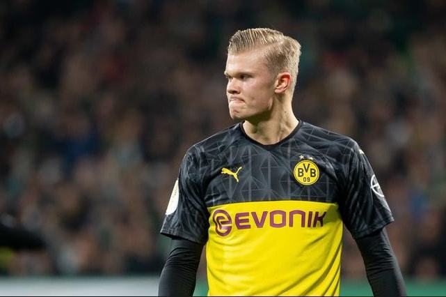 师在一次采 师在一次采